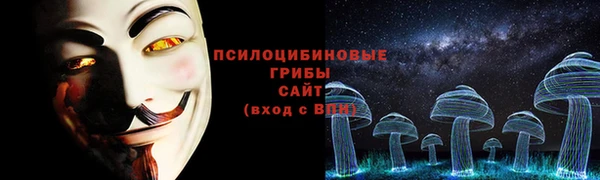 дживик Абаза