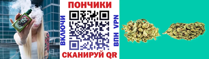 shop официальный сайт Усолье-Сибирское Бошки Шишки SATIVA & INDICA